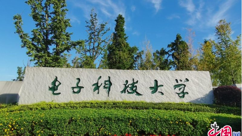 锡膏价格与品牌排名背后的考量因素